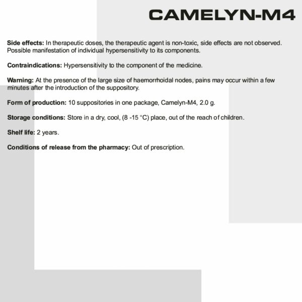 Camelyn M4 – Bild 6